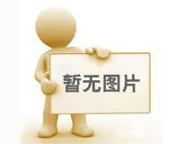 SCD断链保护器（失速开关）